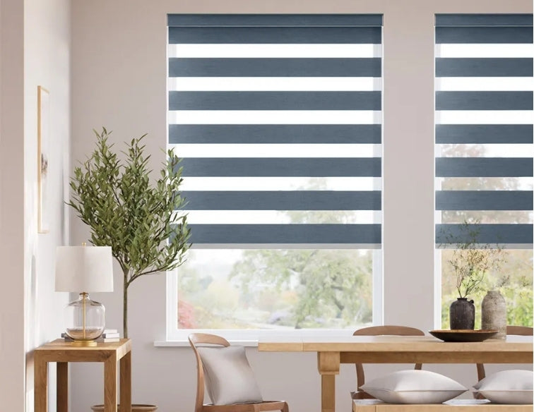 Zebra Jalüz Nədir? Necə İstifadə Olunur?